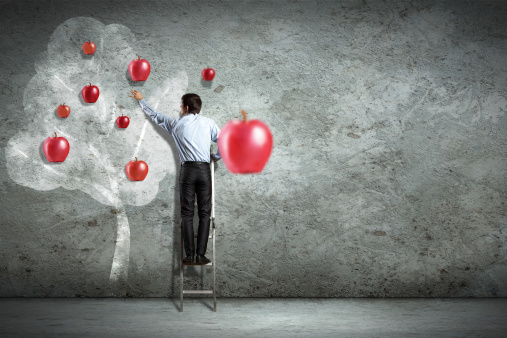 Attirer et faire fructifier les opportunités