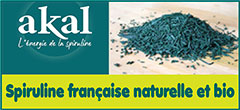 Akal Food Spiruline française naturelle -  Boisson bio antioxydante - Fabrication méthode "Yoga et spiruline" |  Akalfood.com - Akal Food, producteur français de spiruline en Normandie propose une spiruline Ecocert artisanale en paillettes, poudre, comprimés - L’équipe d’Akal Food composée de yogis et de permaculteurs en spiruline propose une spiruline bio-dynamisée exceptionnelle