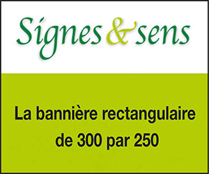 Signes et sens, leader en visibilité web/référencement naturel Internet en bien-être, psycho, bio, santé, beauté, coaching, zen, habitat, astro/ésotérisme, médecines douces, thérapies brèves 
