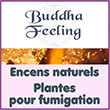 Boutique d’encens naturels - Plantes pour la fumigation (résine, bois pour rituels chamaniques, ésotériques) | Buddhafeeling.fr - Buddha Feeling, boutique en ligne d’encens naturels, de plantes de fumigation, de produits ésotériques spirituels/chamaniques, d’encens naturels de purification, de poudres de bois, de résines d’encens, plantes médicinales à brûler, bâtons de fumigation