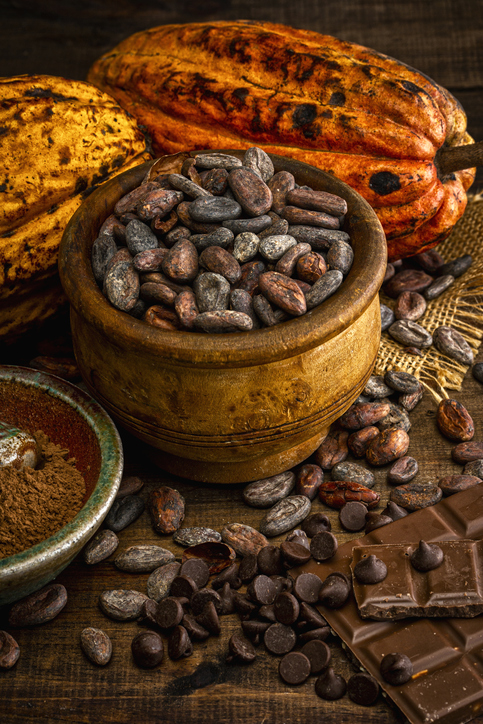 Le cacao, une mine d&rsquo;antioxydants