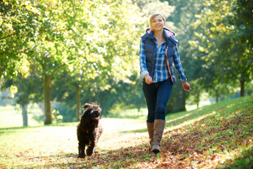 Comment les animaux nous aident à vivre ? 