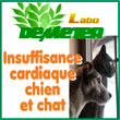 Aliment complémentaire pour l'insuffisance cardiaque du chat et du chien Soutient du système cardio-vasculaire de votre animal.Les bienfaits de l'Aubépine sur le coeur, associé à la phytothérapie, Olea Europea (olivier) et Levure de bière