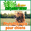 Médicaments et produits vétérinaire pour chiens Les solutions de phytothérapie pour votre chien Le chien, comme tout autre animal, peut être sujet à de multiples maladies nuisant à son bien-être quotidien. Labo Demeter met à votre disposition un grand choix de médicaments pour chien fabriqués à partir d’éléments organiques naturels et dotés de nombreux bienfaits.