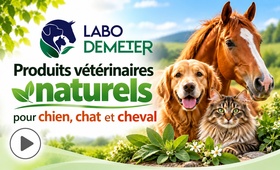 Produits v&eacute;t&eacute;rinaires naturels pour chien, chat et cheval | Labo Demeter, - Labo Demeter, sp&eacute;cialiste depuis 2004 de la phytoth&eacute;rapie v&eacute;t&eacute;rinaire, propose des compl&eacute;ments et produits naturels &agrave; base de plantes pour chiens, chats et chevaux