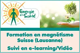 Formation en m&eacute;taphysique &agrave; distance (&eacute;veil spirituel/enseignement de la spiritualit&eacute; vivante et philosophie spirituelle) - Formation en ligne (visio/Zoom) - Cursus de m&eacute;taphysique en pr&eacute;sentiel (Laurentides, Montr&eacute;al, Laval) - Devenir m&eacute;taphysicien/docteur en m&eacute;taphysique (dipl&ocirc;me de philosophie m&eacute;taphysique/science de l&rsquo;&ecirc;tre et holistique) - Ouvrir ses niveaux de conscience (harmonie corps/&acirc;me et esprit) | Institutmetaphysique.com -  L&rsquo;Institut International de la M&eacute;taphysique Appliqu&eacute;e, sp&eacute;cialiste reconnu depuis 1994 dans la formation en m&eacute;taphysique &agrave; distance/en ligne (webinaire en visio Zoom) et en pr&eacute;sentiel (Laurentides, Montr&eacute;al, Laval), propose une formation en m&eacute;taphysique &agrave; distance compl&egrave;te - Cette formation dipl&ocirc;mante en m&eacute;taphysique permet de devenir m&eacute;taphysicien et docteur en m&eacute;taphysique avec, &agrave; la cl&eacute;, un dipl&ocirc;me de philosophie m&eacute;taphysique et de science de l&rsquo;&ecirc;tre et holistique - Ce cursus en m&eacute;taphysique nous apprend &agrave; ouvrir ses niveaux de conscience vers une harmonie corps/&acirc;me et esprit - De plus, cette formation compl&egrave;te dans le domaine de la m&eacute;taphysique touche les aspects de l'&eacute;veil spirituel, du d&eacute;veloppement de l'&ecirc;tre et de la croissance personnelle, la visualisation cr&eacute;ative, ouverture de la conscience, approche holistique
