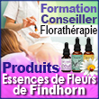 Fleurs de Findhorn, elixirs floraux de Findhorn, essences florales | Findhornessences.fr - Fleurs de Findhorn, essences florales ou elixirs floraux produits a partir de plantes et fleurs ecossaises, production artisanale et manuelle sur le site de l ecovillage de Findhorn au nord est de l ecosse - fleurs solarisées