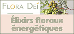 Elixirs floraux énergétiques à base de plantes naturelles (gestion des émotions, accompagnement au deuil, libération énergétique/émotionnelle) | Floradei.fr - Les élixirs énergétiques de Flora Dei, des synergies de plantes 100% naturelles qui aident à maintenir ou à retrouver votre bien-être.