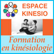 Ecole de kinésiologie de Lyon - Formation professionnelle en kinésiologie - Espace Kinésio - Espace Kinésio est une école de formation professionnelle certifiante en kinésiologie à Lyon.  Créée en 1996 par Maurice PITT, accompagné depuis par une équipe pédagogique professionnelle, l'école propose un cursus personnalisé :      Certificat de PRATICIEN : à partir de 600 h de formation (validées par des contrôles continus)      Diplôme de KINESIOLOGUE : à partir de 850 h de kinésiologie (validées) et un Jury