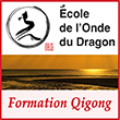 Formations Qi Gong professionnelles (CQP) Nantes, Perpignan, Paris - Stages/cours de chi kung - Enseignement inédit l’Onde du Dragon de la connexion au Dan Tian - L'Onde du Dragon - L’école de formation en Qi Gong Professionnelle de l’Onde du Dragon spécialisée dans les formations Chi Kung/Qigong et de la connexion au Dan Tian, propose sur Nantes (CQP), Perpignan, Paris, un enseignement unique du Qigong et sur l’essence des arts énergétiques chinois (l’Onde du Dragon) qui permet une connexion aux trois Dan Tian/ 3 trésors – Cette connexion énergétique subtile devient objective et s’applique ensuite à son propre art énergétique interne et à son enseignement.
