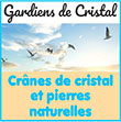 Boutique en ligne/Acheter un crâne de cristal/tête de dragon – Objet ésotérique/spirituel en minéraux/cristaux de lithothérapie : cristal de roche, quartz rose, fluorite - Gardiens-de-cristal.fr - Gardiens de Cristal, site référent dans la vente en ligne de crânes de cristal (évolution personnelle puissante), de tête de dragon en cristal, propose une large gamme d'objets ésotériques et spirituels en minéraux et cristaux (lithothérapie) tels que : Cristal de roche, Quartz rose, Fluorite, Agate, Agate Mousse, Amazonite, Améthyste, Apatite, Aventurine, Calcite Orange, Calcite Jaune, Chrysocolle, Chrysoprase, Dragon blood, Gabbro indigo, Jade Blanche, Jade Verte, Jaspe, Labradorite, Lapis Lazuli, Lépidolite, Mookaïte, Oeil de tigre, Opal verte, Pierre de lune, Pierre du soleil, Quartz fraise, Rhodonite, Ruby zoïsite, Septaria, Sodalite, Tourmaline rose, Unakite