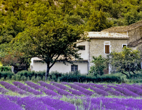 Mes vacances en gîte au plus près de la nature