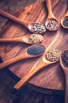 Graines germées médicinales ? Des nutriments vitaux !