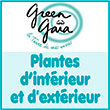 Boutique en ligne de plantes/végétal pour l'intérieur et l'extérieur (jardin/balcon/terrasse) - Dans cette catégorie, Green Gaïa propose une sélection de plantes d’intérieur pour se reconnecter à la nature - Que ce soit plutôt plantes tendances, plantes dépolluantes, plantes faciles d’entretien, terrarium ou Kokedama, Green Gaïa sélectionne avec soin les plantes en véritable amoureux de la nature - Green Gaïa propose aussi une sélection de jolies plantes d’extérieur toutes saisons