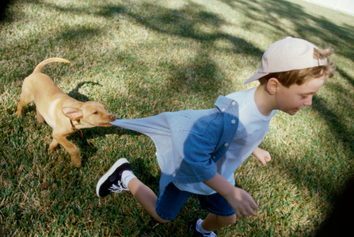 « Je fais comment quand il ne veut pas  s’occuper de son chien ? »