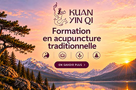 Formation acupuncture traditionnelle à Saint-Nazaire | Centre de formation Kuan Yin Qi - Kuan Yin Qi, centre de formation en acupuncture traditionnelle taoïste près de Saint-Nazaire, entre Nantes et Vannes, propose un cursus certifiant de 3 ans en présentiel avec stages en situation réelle auprès de patients