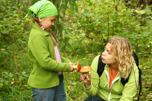 La cueillette des champignons en famille au rythme des saisons