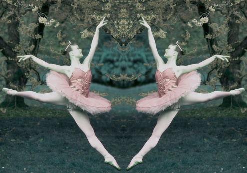 Le ballet de l’Opéra national de Paris