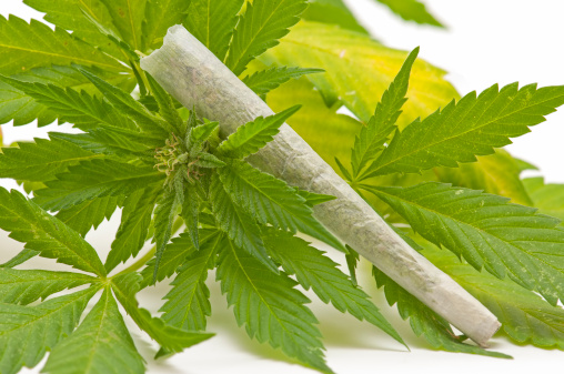 Le cannabis ? Et après... 