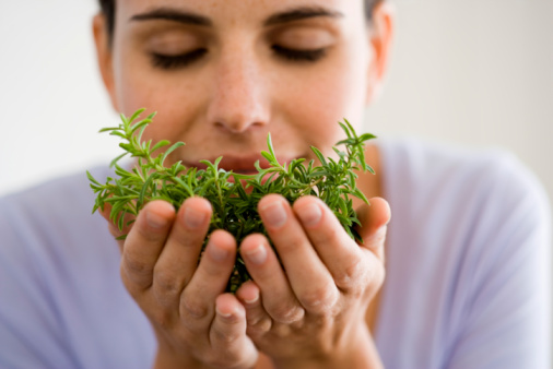 Les bonnes raisons de penser bio 