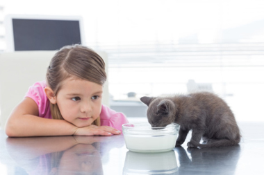  « Elle n’accepte de manger qu’en présence de son chat »