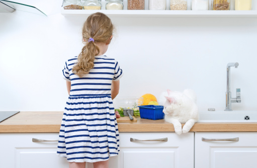 L'inversion du rôle parental