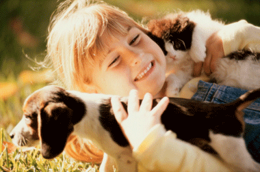 Elle ramène tous les animaux blessés à la maison 