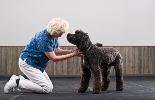 Ma mère prend son caniche pour une personne