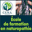 Formation en naturopathie à distance/en ligne (e-learning) du Centre d’Enseignement de Naturopathie Appliquée (CENA Ecole Masson) - Consultation avec un naturopathe certifié/diplômé - Cours en nutrition, mycothérapie, aromathérapie, Fleurs de Bach - Cena-ecole-masson.fr - Sandrine Navarrete Masson, naturopathe/formatrice reconnue et directrice du C.E.N.A. propose une formation en naturopathie à distance/en ligne (e-learning) -  Sandrine Navarrete Masson du Centre d’Enseignement de Naturopathie Appliquée (CENA Ecole Masson)  propose aussi des consultation avec un naturopathe certifié/diplômé, ainsi que des cours/consultation en nutrition, mycothérapie, aromathérapie, Fleurs de Bach - Sandrine Navarrete Masson propose aussi des réglages alimentaires individualisées 