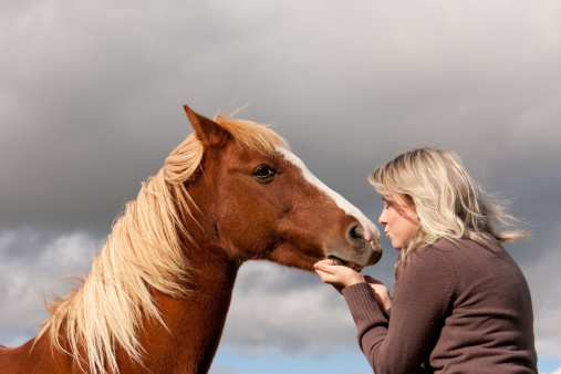 Mon cheval, ma passion