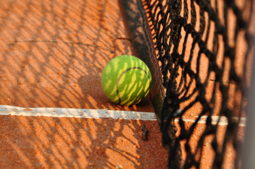 Joueuse de tennis Monica Seles 