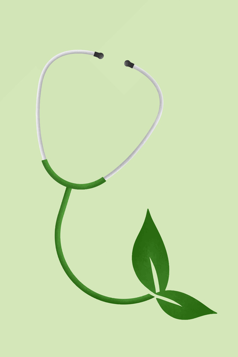 La naturopathie pour une belle santé 