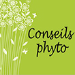 Conseils en phytothérapie