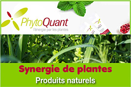 PhytoQuant - Compléments alimentaires naturels de la plus haute qualité - Synergie de plantes - PhytoQuant est une entreprise familiale qui impose sa différence dans le monde de la santé et du bien-être par son éthique et son sens de l’innovation. Depuis plus de 20 ans, PhytoQuant propose des compléments alimentaires naturels de la plus haute qualité, élaborés grâce à des procédés uniques et respectueux du vivant végétal. C’est sans doute la raison pour laquelle, les produits de bien-être et de santé PhytoQuant sont recommandés par des milliers de praticiens de santé en France. Découvrez les secrets du succès et de la qualité des compléments alimentaires PhytoQuant. Fort de 36 ans d’expérience dans le domaine, Nicola Frassanito a fondé PhytoQuant le 4 avril 2004. Le nom “PhytoQuant” associe “phyto” (plantes) et “quant” (quantique). Ce choix illustre la mission que s’est fixée le fondateur : « Réussir à extraire, à préserver et à transmettre les bienfaits des plantes en les potentialisant avec l’énergie la plus pure et puissante du monde, celle de l’amour. » Derrière ce credo se cache une quête de l’excellence jusque dans les moindres détails. Créée en 2004 par Nicola Frassanito, PhytoQuant est une entreprise familiale qui impose sa différence dans le monde de la santé et du bien-être par son éthique et son sens de l’innovation, et vous propose des produits naturels de la plus haute qualité. Compléments alimentaires, soins de peau, ou encore produits naturels pour la maison … : chez PhytoQuant, vous trouverez des formules naturelles et efficaces, sans conservateurs ni additifs chimiques, élaborées grâce à des procédés uniques et respectueux de l’environnement, dans une démarche éco responsable. Nous fabriquons tous nos produits avec amour et l’objectif de vous offrir le meilleur de la nature et toute son énergie pour plus de confort et une meilleure qualité de vie. 
































































































































































































































































