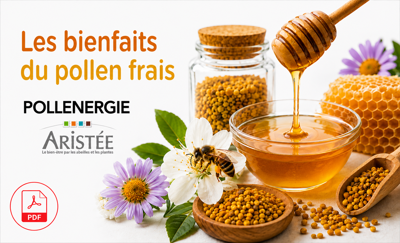 Pollens congel&eacute;s &agrave; l'&eacute;tat frais - Pollenergie - Le pollen congel&eacute; &agrave; l'&eacute;tat frais est un aliment cru vivant, tr&egrave;s complet et complexe. Quand il est s&eacute;ch&eacute;, le pollen perd une grande partie de ses micronutriments. La consommation r&eacute;guli&egrave;re de pollen frais aide &agrave; la bonne marche de nombreuses fonctions organiques car il renferme de fa&ccedil;on tr&egrave;s compl&egrave;te tous les &eacute;l&eacute;ments indispensables &agrave; la vie.