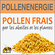 Pollenergie/Aristée® : Pollen frais, Propolis, Gelée royales - Pollenergie, producteur/spécialiste référent en pollen frais/propolis, propose depuis 25 ans des produits de la ruche aux principes actifs pour une efficacité naturelle garantie - Ces pollens frais, propolis primeurs, gelées royales, miels vous accompagnent au quotidien pour prévenir et soulager vos maux.