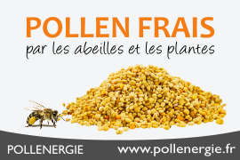 Pollenergie/Aristée® : Pollen frais, Propolis, Gelée royales - Pollenergie, producteur/spécialiste référent en pollen frais/propolis, propose depuis 25 ans des produits de la ruche aux principes actifs pour une efficacité naturelle garantie - Ces pollens frais, propolis primeurs, gelées royales, miels vous accompagnent au quotidien pour prévenir et soulager vos maux.