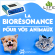 Biorésonance et biofeedback pour animaux - Les animaux aussi peuvent souffrir de traumatismes, de troubles alimentaires et digestifs, de douleurs articulaires et musculaires, d’agressivité, etc. Grâce à la biorésonance, Quantaform International permet aussi aux animaux de retrouver leur vitalité et leur bien-être. Comme les humains, les animaux possèdent un système énergétique. Les résultats de la biorésonance sur les animaux sont spectaculaires. En effet, ils sont dotés d’un sixième sens qui leur permet d’être très réceptifs aux fréquences vibratoires et aux rééquilibrages effectués par les appareils de biorésonance et de biofeedback.