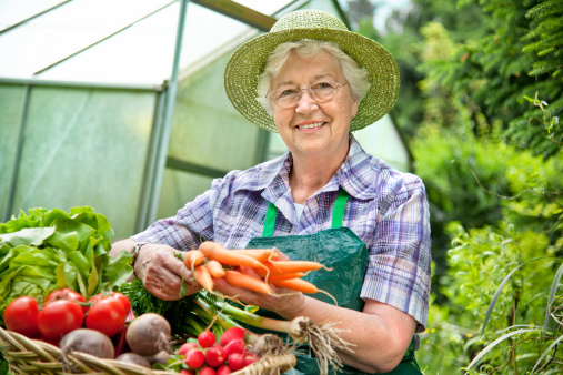 Qu’est-ce qu’un jardin agroforestier ?