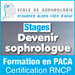 Formation en sophrologie en PACA (Marseille/Aubagne) - Devenir sophrologue certifié (financement CFP/Certification RNCP) - Supports de cours en e-learning | Formation.sophropaca.com - L'école de Sophrologie PACA, école de formation référente en sophrologie (avec certification RNCP) sur Marseille, Aubagne et en Provence Alpes Côte d’Azur propose une formation professionnelle/professionnalisante pour devenir sophrologue (en présentiel et avec support de cours en e-learning). 