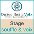 Stage Souffle Voix Méthode Wilfart à Lyon, Paris, Quimper, Saint-Etienne - Benjamin Grenard - Thérapie par le son - Du-souffle-a-la-voix.com - Du Souffle à la Voix, dirigé par Benjamin Grenard, formateur Souffle-Voix et Thérapie-Voix, praticien agréé de Pneumaphonie, enseigne la Méthode Wilfart alliant la thérapie par la voix, le chant thérapie, ainsi que l'Harmonie du corps et de l'être, d'après le livre le Chant de l'Être de Serge Wilfart paru aux Editions Albin Michel - Les stages et ateliers Souffle Voix sont proposés à Lyon, Paris, Quimper (Bretagne), Uzès, Aix-les-Bains, Saint-Etienne et sur toute la France - Benjamin Grenard vous apporte son regard de spécialiste de la voix avec des articles sur les voix de l'histoire.