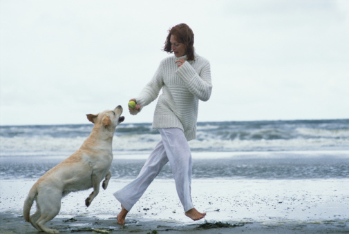 Venir à bout des douleurs articulaires de son chien