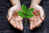 DIHÉ - Cette marque propose des compléments alimentaires 100 % naturels et sans additif, riches en nutriments essentiels. Ils sont d’ailleurs recommandés par de nombreux naturopathes et nutritionnistes. Pour exemples, spiruline sans métaux lourds et ginseng d’exception. Une façon efficace de prendre soin de sa santé.