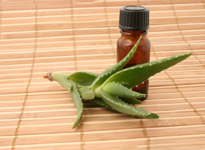  Le sens de la naturopathie 