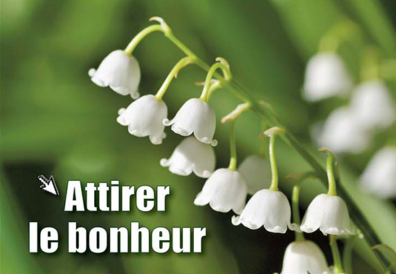 Attirer le bonheur...
