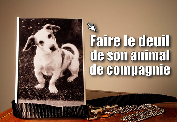Faire le deuil de son animal de compagnie