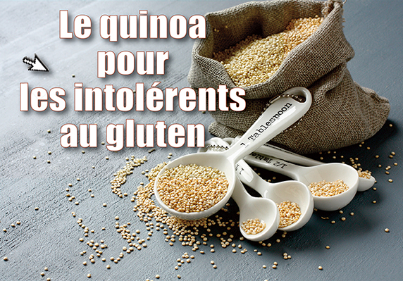 Rester Zen, ça veut dire quoi ?